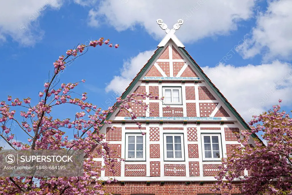 Half-timbered house, Jork, Altes Land fruit-growing region, Lower Saxony, Germany, Europe, PublicGround
