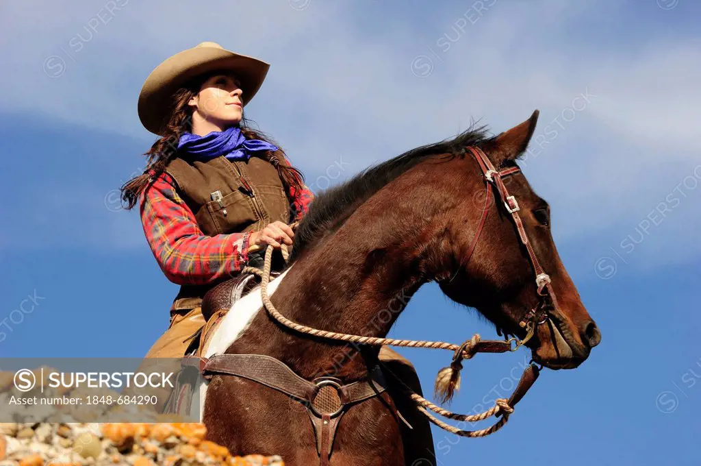 Cowgirl on a horse looking into the distance, Saskatchewan, Canada, North America