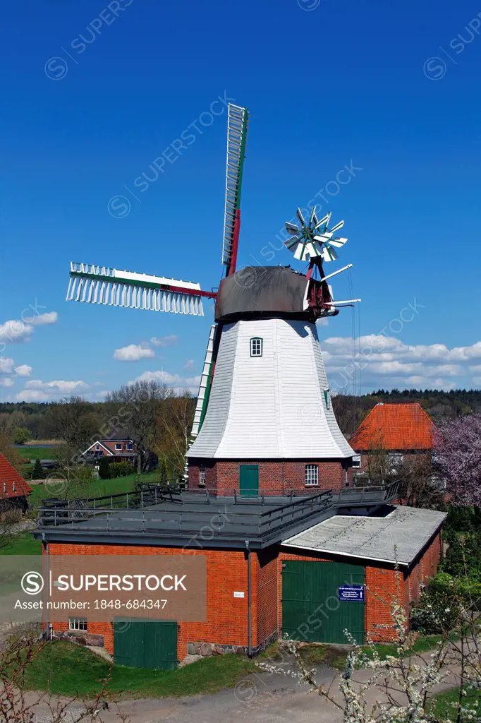 Historic windmill with wind rose built in a typical Dutch style, Artlenburg windmill, Elbuferstrasse, Artlenburg, Lueneburg district, Lower Saxony, Ge...