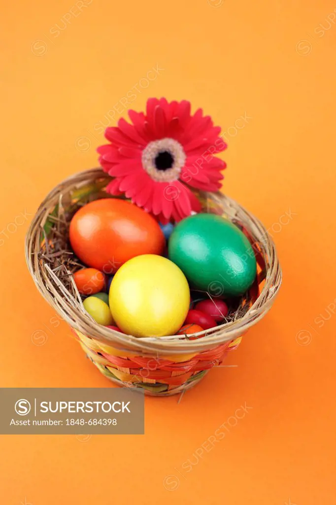 Easter basket with colourful shortbread eggs, eggs and a gerbera flower