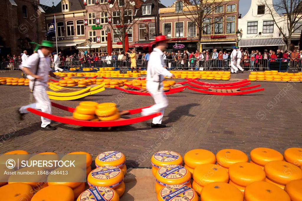 Cheese carriers on the cheese market in Alkmaar, North Holland, Netherlands, Europe