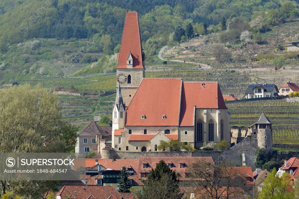 Parish church of Maria Himmelfahrt, church of the Assumption, Weissenkirchen, Wachau region, Lower Austria, Austria, Europe