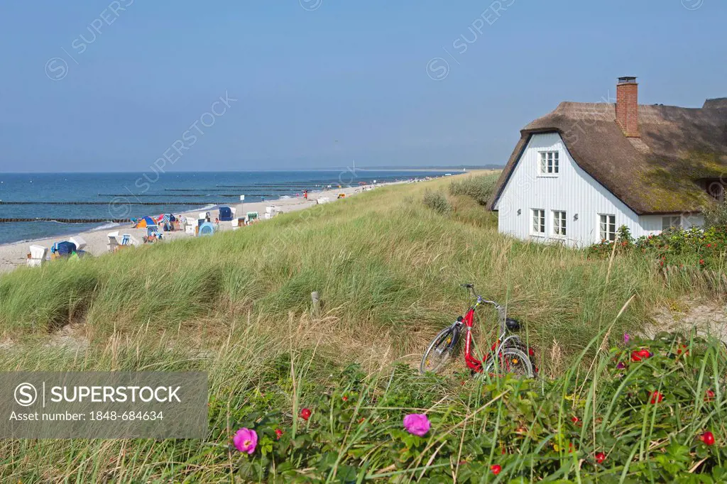 Thatched house at the beach, Ahrenshoop, Darss, Mecklenburg-West Pomerania, Germany, Europe, PublicGround
