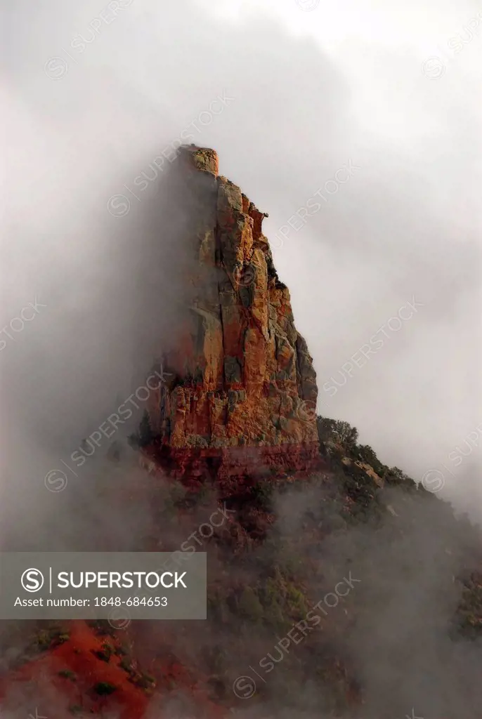 Fog on Mount Hayden in evening light, as seen from Point Imperial, Grand Canyon National Park, Arizona, USA
