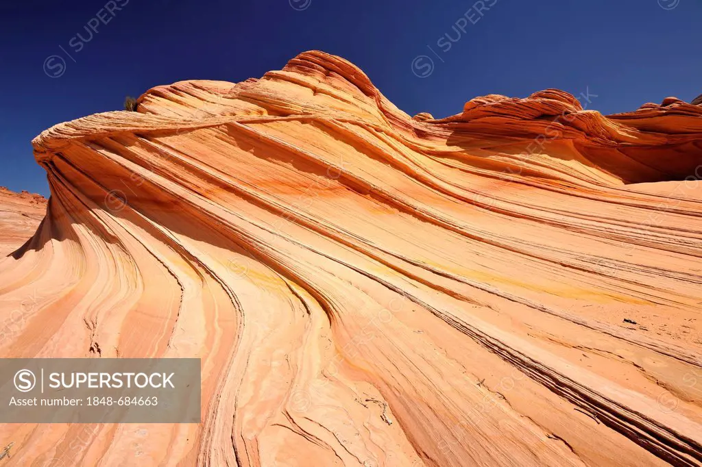 The Second Wave, banded eroded Navajo sandstone rocks with Liesegang Bands, Liesegang Rings or Liesegangen Rings, North Coyote Buttes, Paria Canyon, V...