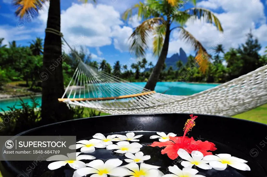 Hammock, palm trees, floral decorations, St. Regis Bora Bora Resort, Bora Bora, Leeward Islands, Society Islands, French Polynesia, Pacific Ocean