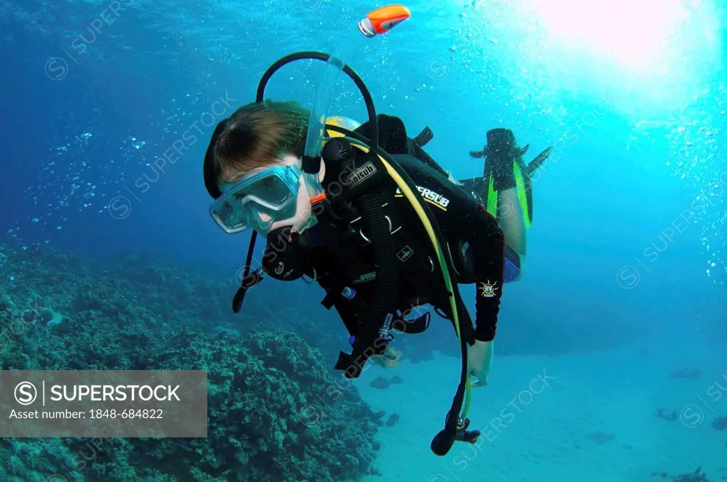Divers, Red Sea, Egypt, Africa