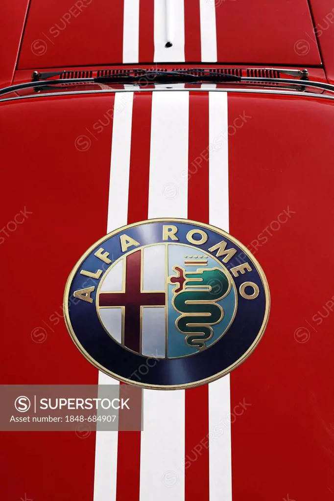 Alfa Romeo sticker on the rooftop of a rally car