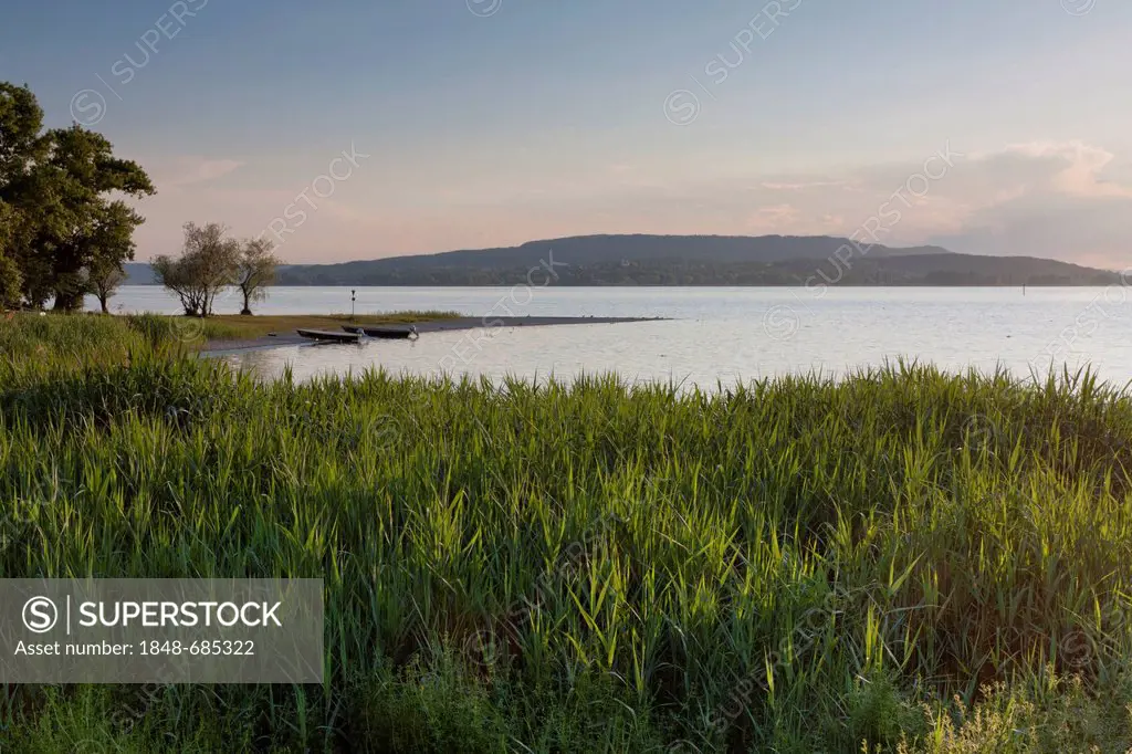 Evening mood on the island of Reichenau, looking towards Hoeri, Lake Constance, Konstanz district, Baden-Wuerttemberg, Germany, Europe, PublicGround