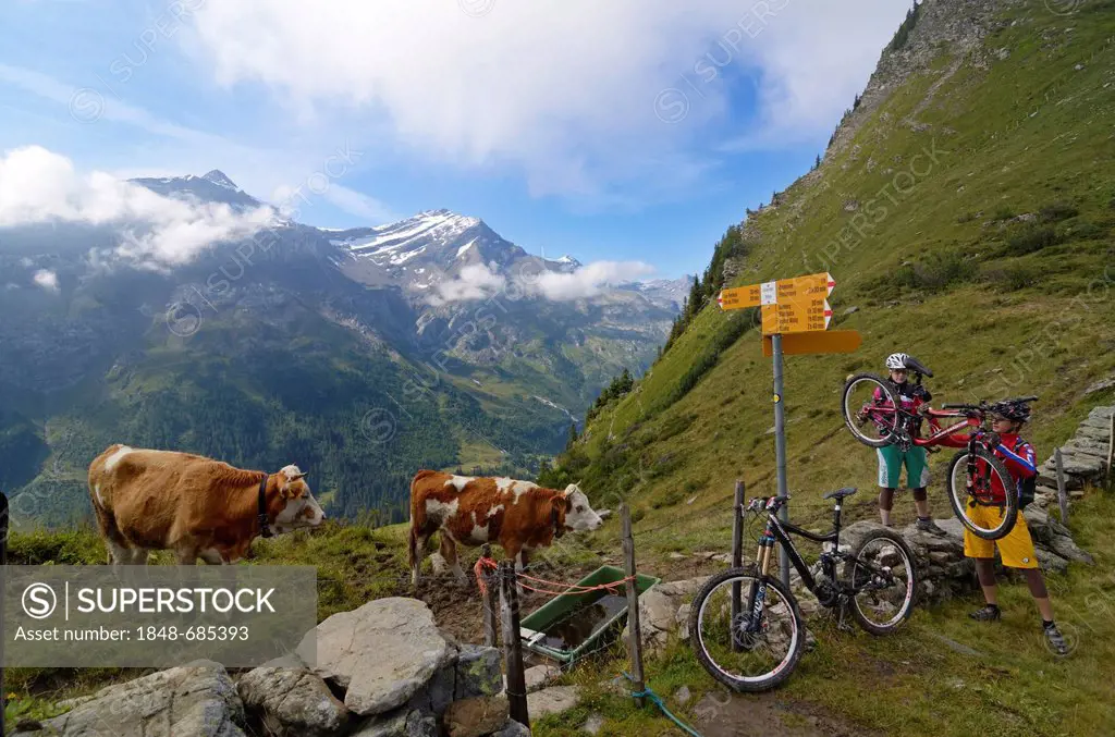Mountain bikers on the Col des Anderets, Col du Pillon, Gstaad, Saanenland region, Bernese Oberland, Switzerland, Europe