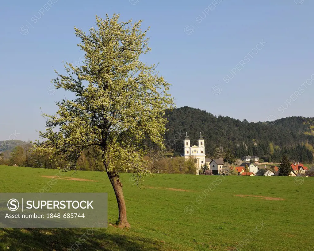 Wallfahrtskirche Hafnerberg pilgrimage church in spring, Lower Austria, Austria, Europe