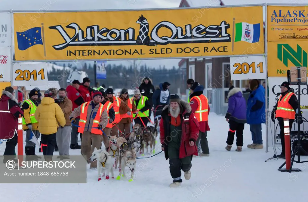 Volunteers helping dog team, sled dogs, Alaskan Huskies, to the start line of the Yukon Quest 300 Sled Dog Race 2011, Whitehorse, Yukon Territory, Can...