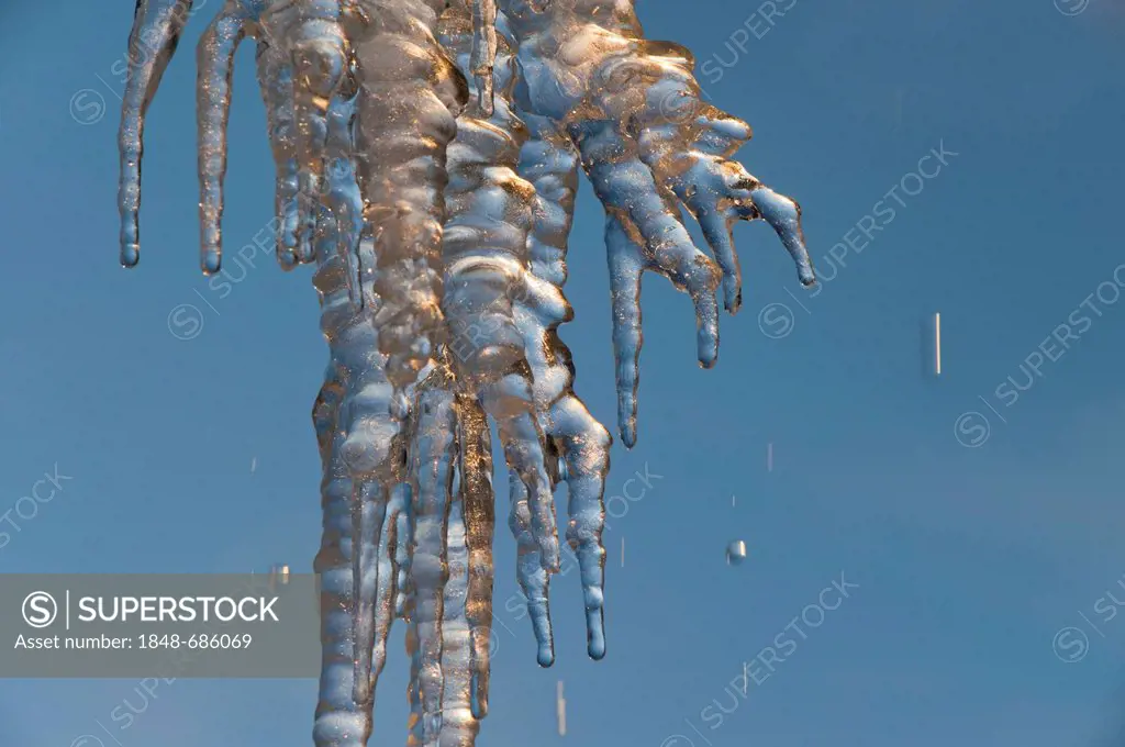 Melting icicles, Dyrhólaey, Iceland, Europe