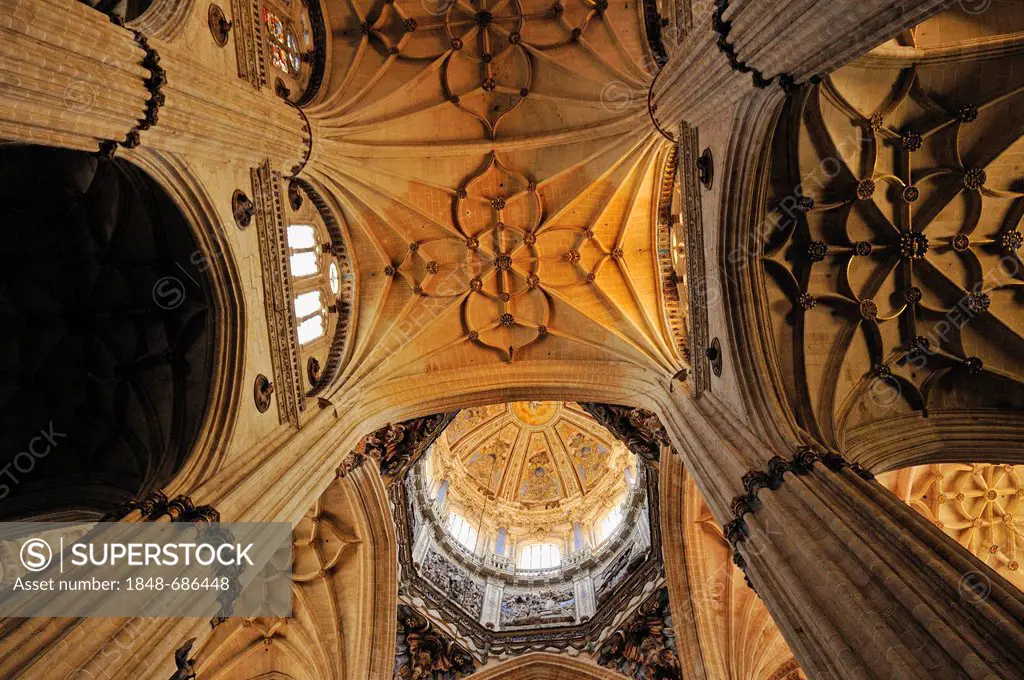 Interior of the gothic Cathedral of Salamanca, Unesco World Heritage Site, Castile and Leon, Castilia y Leon, Spain, Europe