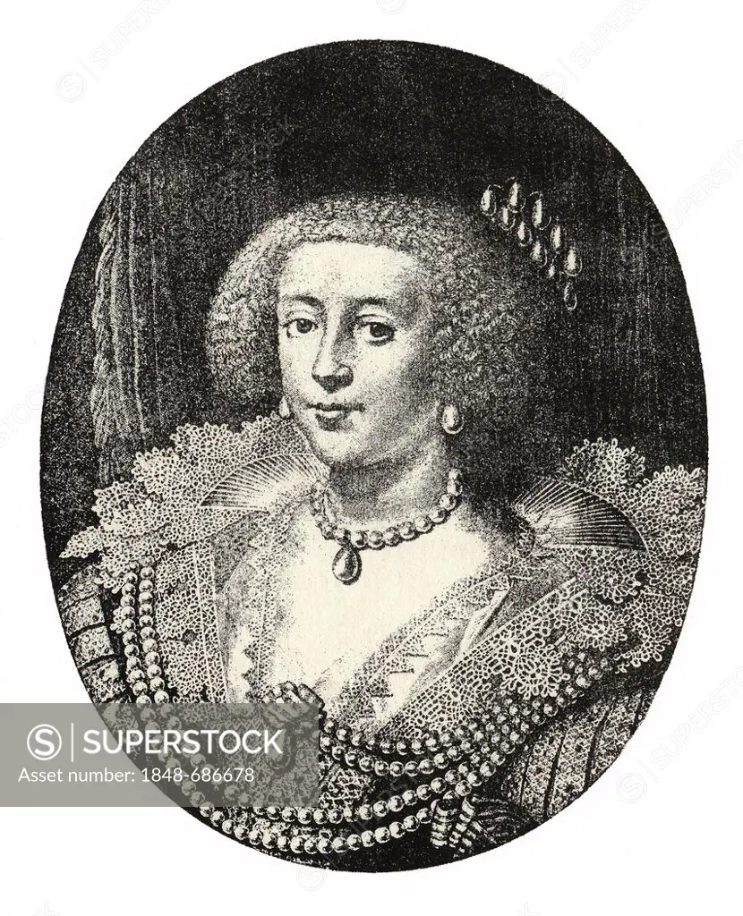 Historical steel engraving from the 19th Century, portrait, Henriette Marie de France or Henrietta Maria of France, wife of Charles I, Queen of Englan...