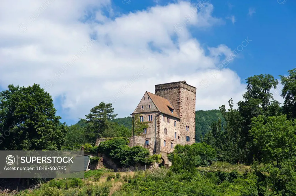 Vorderburg Castle, Neckarsteinach, Neckar Valley-Odenwald nature park, Hesse, Germany, Europe
