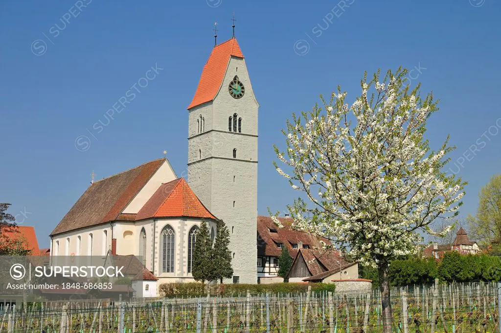 St. John the Baptist, catholic church, Hagnau on Lake Constance, Baden-Wuerttemberg, Germany, Europe