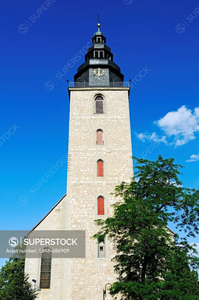 Trinitatiskirche church, Sondershausen, Thuringia, Germany, Europe