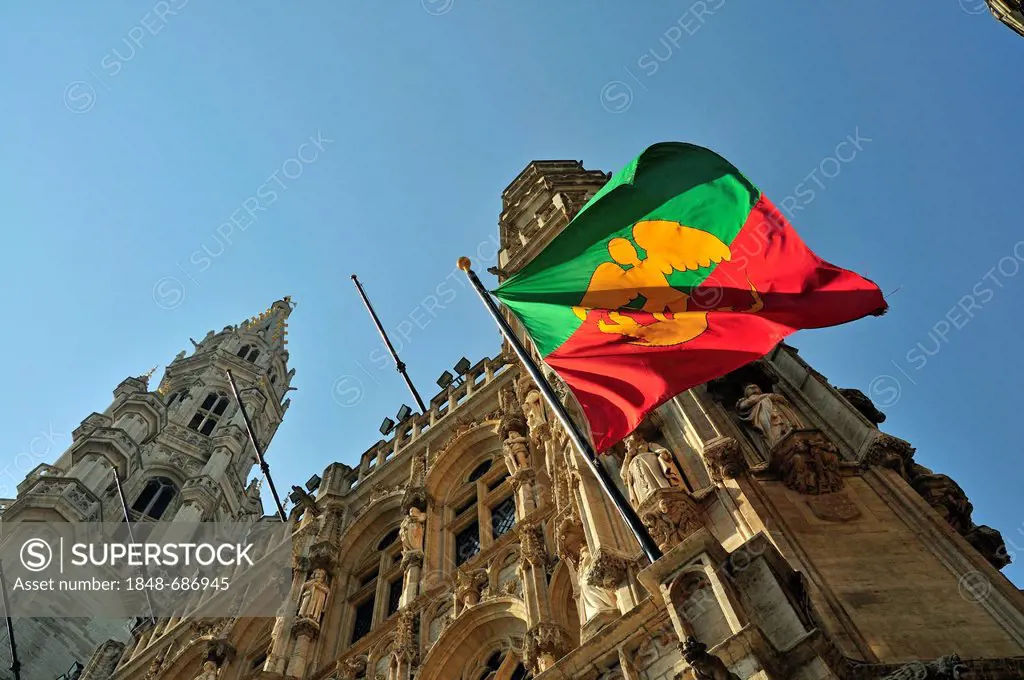 Flag of the Brussels at the city hall, Grand Place or Grote Markt, UNESCO World Heritage Site, Brussels, Belgium, Benelux, Europe