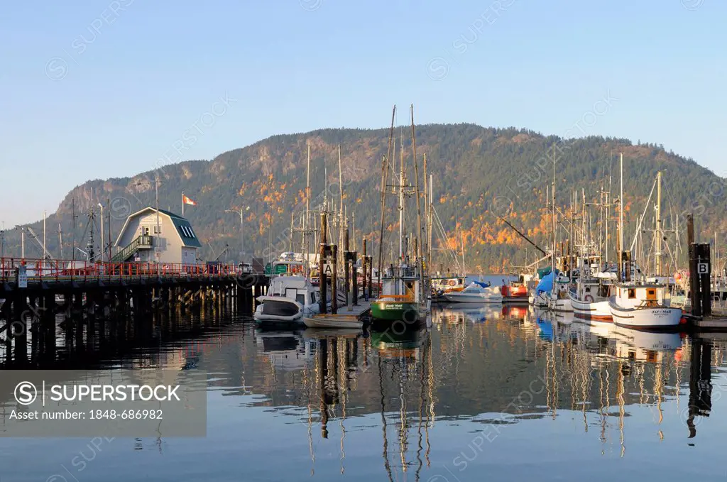 Cowichan Bay Marina, Cowichan Bay, Vancouver Island, British Columbia, Canada