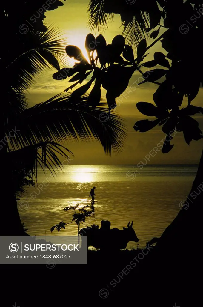 Sunset on the beach of St. Marie in the east of Madagascar, Africa, Indian Ocean