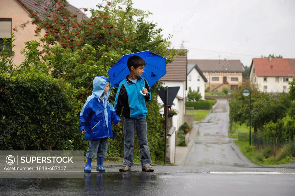 Two children, 4 and 8 years, crossing the street in the rain, Assamstadt, Baden-Wuerttemberg, Germany, Europe