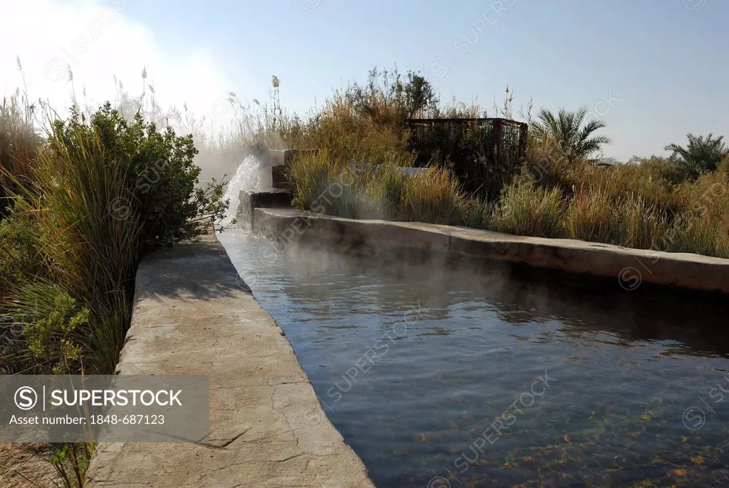Irrigation channel, Farafra Oasis, White Desert, Western Desert, Egypt, Africa