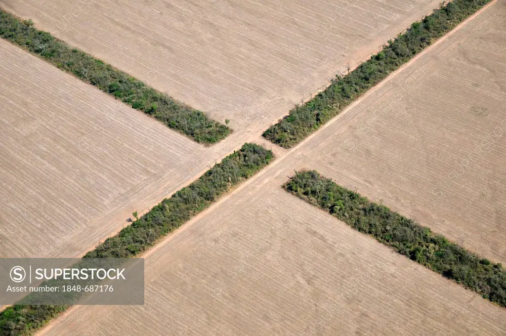 Aerial view from a Cessna aircraft, cross formed by narrow strips of the original Chaco vegetation between giant fields, Gran Chaco, Salta, Argentina,...