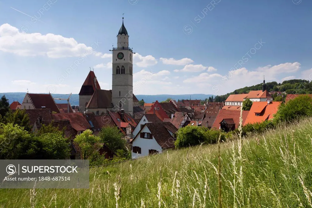 Historic town centre of Ueberlingen with St. Nikolaus Minster behind a summer meadow, Lake Constance district, Baden-Wuerttemberg, Germany, Europe