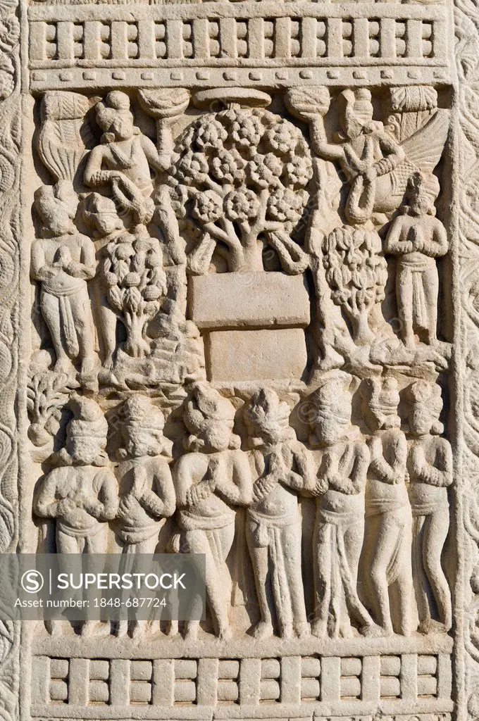 Relief depicting the life of Buddha, stupas of Sanchi, UNESCO World Heritage site, built by King Ashoka, the Mauryan dynasty, Sanchi, Vidisha in Madhy...