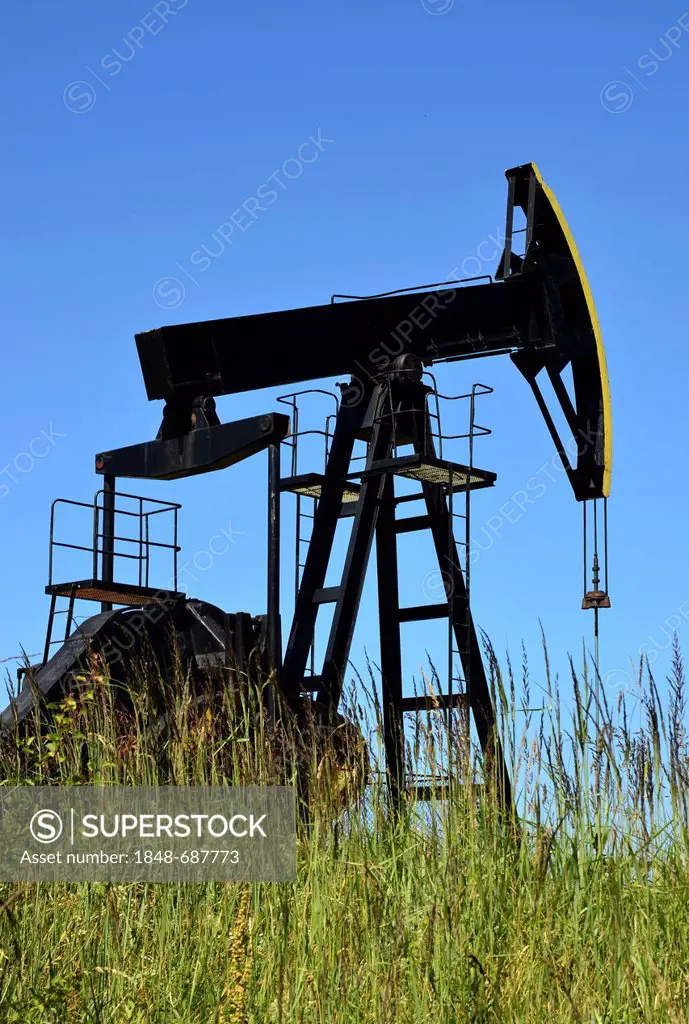 Horse head pump for oil production, near Neuendorf, island of Usedom, Mecklenburg-Western Pomerania, Germany, Europe