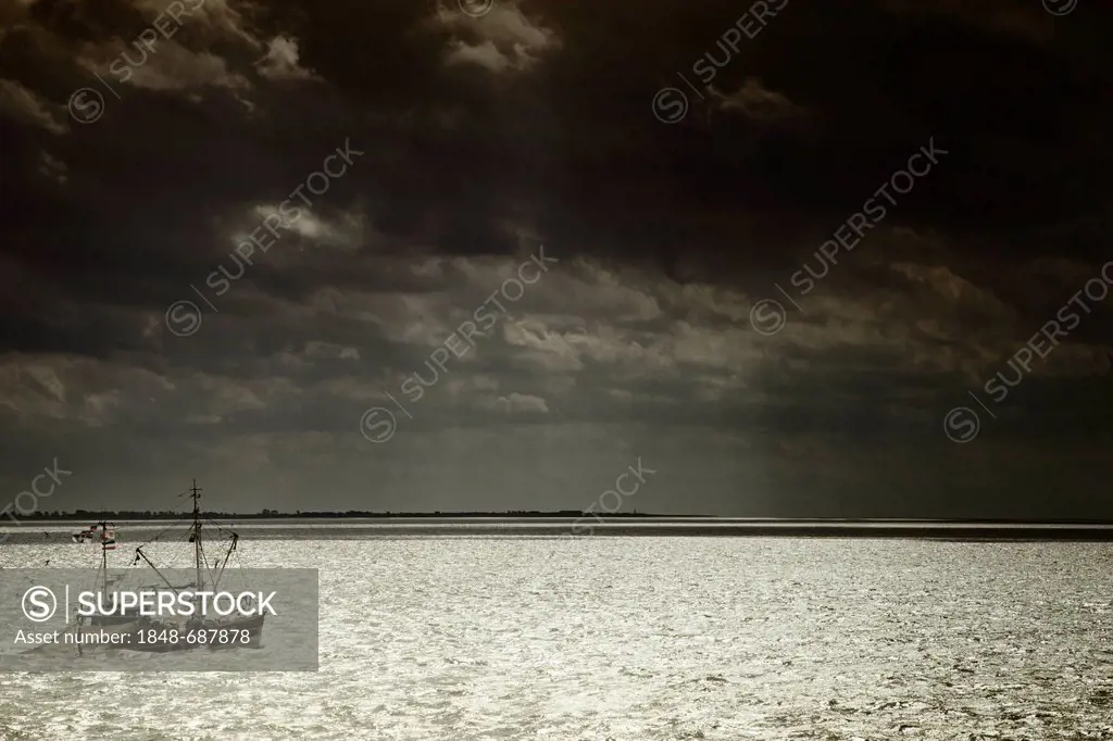 Shrimp cutter at sea, dusk, North Sea coast, Germany, Europe