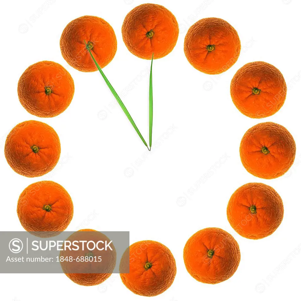 Clock made of oranges with blades of grass as fingers showing five to twelve