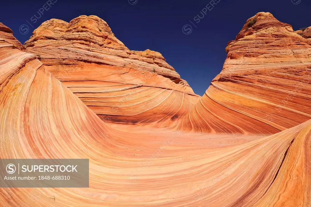 The Wave, banded eroded Navajo sandstone rocks with Liesegang Bands, Liesegangen Rings, or Liesegang Rings, North Coyote Buttes, Paria Canyon, Vermill...