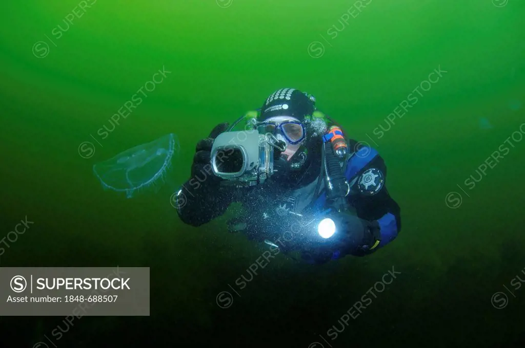 Underwater photographer and Common jellyfish (Aurelia aurita), Odessa, Black Sea, Ukraine, Eastern Europe