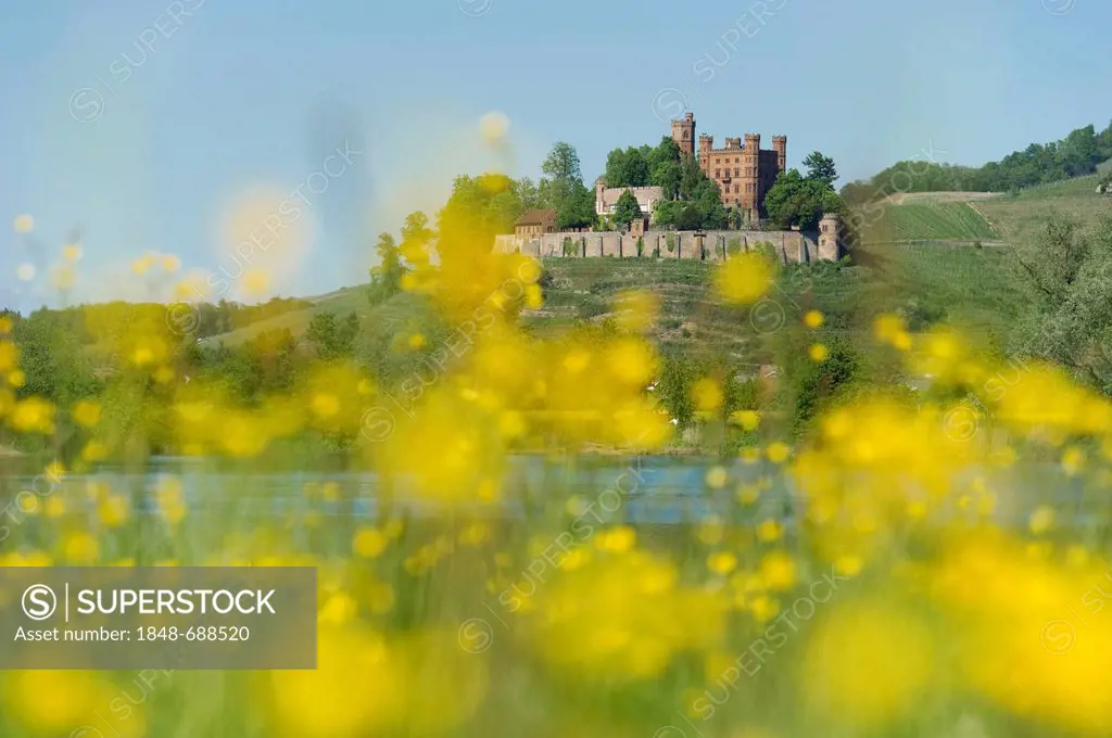 Schloss Ortenberg Castle with a flower meadow at the entrance to Kinzigtal Valley, near Offenburg, Ortenau, Black Forest, Baden-Wuerttemberg, Germany,...
