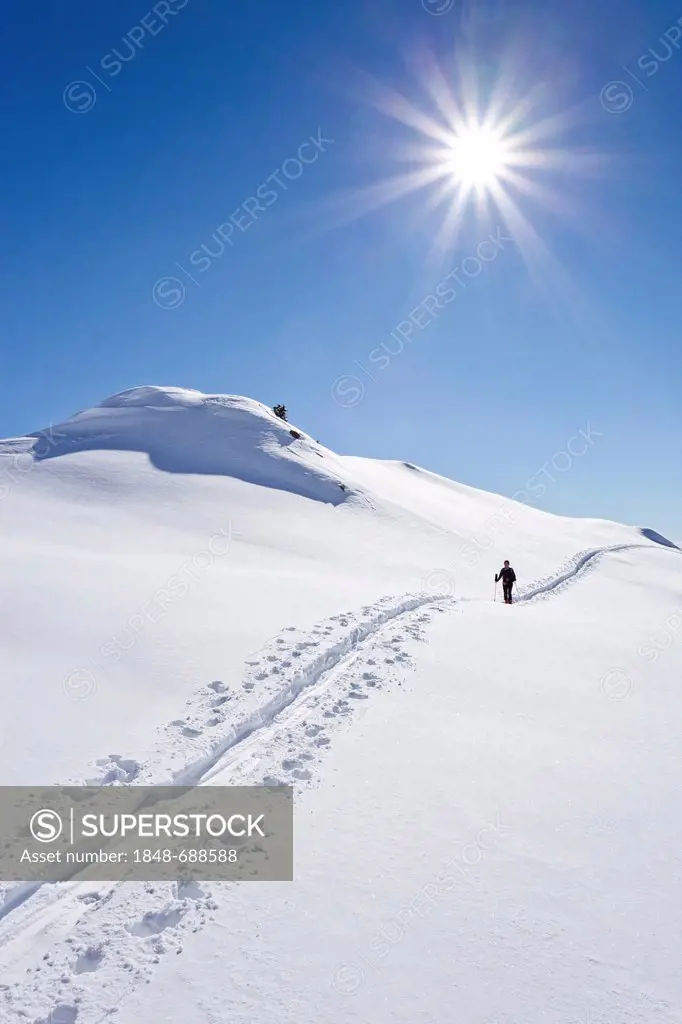Backcountry skier on the way up to the top of Cima Bocche mountain above Passo Valles mountain pass, Dolomites, province of Trentino, Italy, Europe