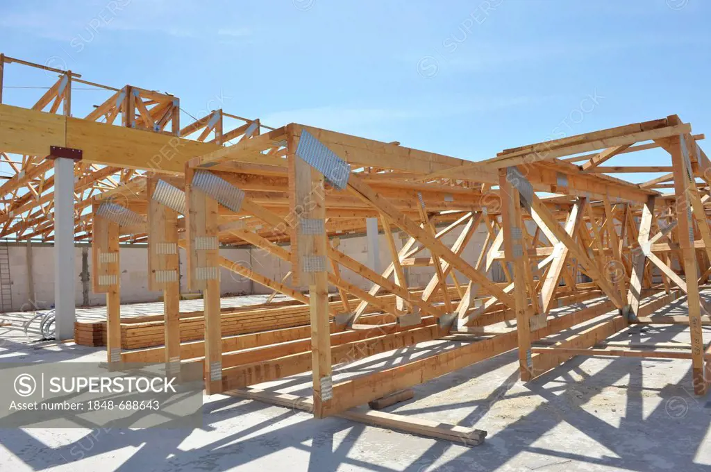 Wooden roof structure of a new hall development