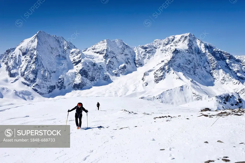 Backcountry skier climbing Hintere Schoentaufspitze mountain, Sulden in winter, Koenigsspitze mountain, Ortler mountain and Zebru mountain at the back...