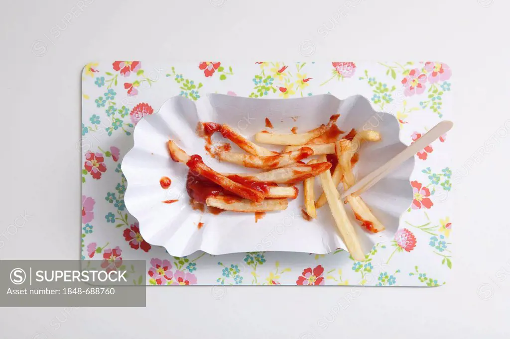 French fries with ketchup on a paper plate