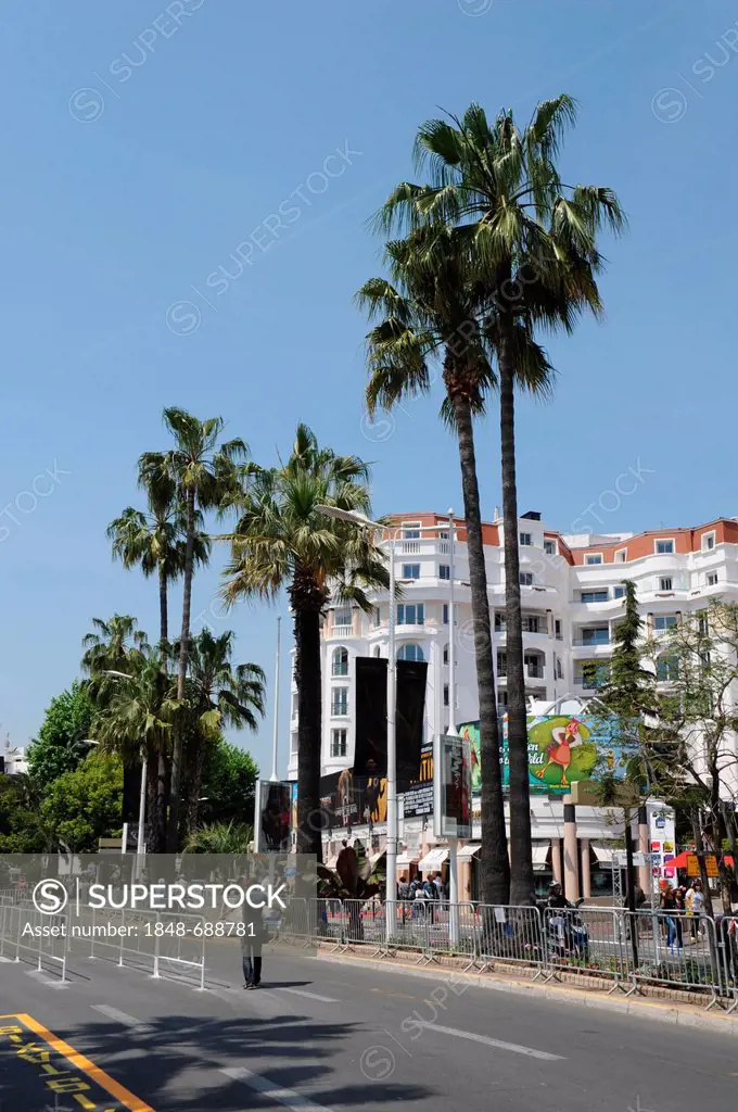 The Croisette in Cannes, Cote d'Azur, France, Europe