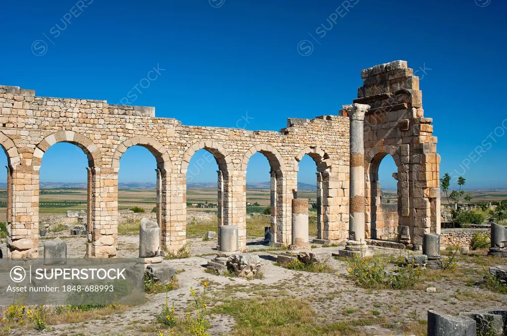 Basilica, Roman ruins, ancient city of Volubilis, UNESCO World Heritage Site, Morocco, North Africa, Africa