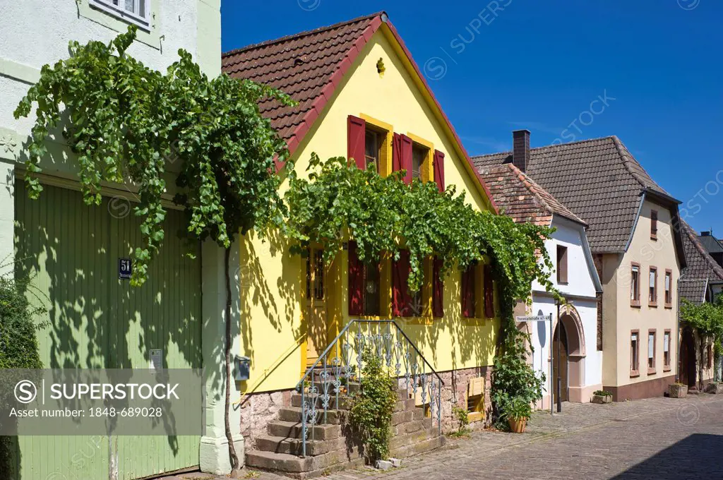 Historical Theresienstrasse, Rhodt unter Rietburg, German Wine Route or Southern Wine Route, Palatinate, Rhineland-Palatinate, Germany, Europe