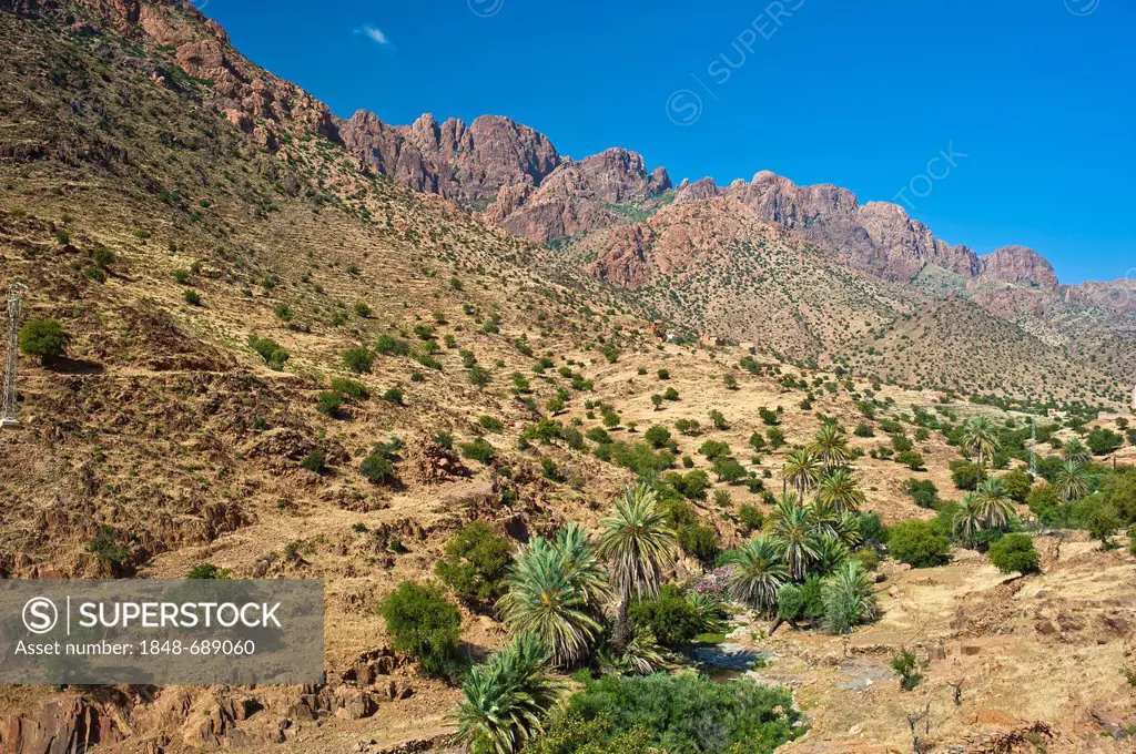 Typical mountain landscape with a dry river bed where Argan Trees (Argania spinosa) and Date Palms (Phoenix dactylifera) grow, Anti-Atlas Mountains, s...