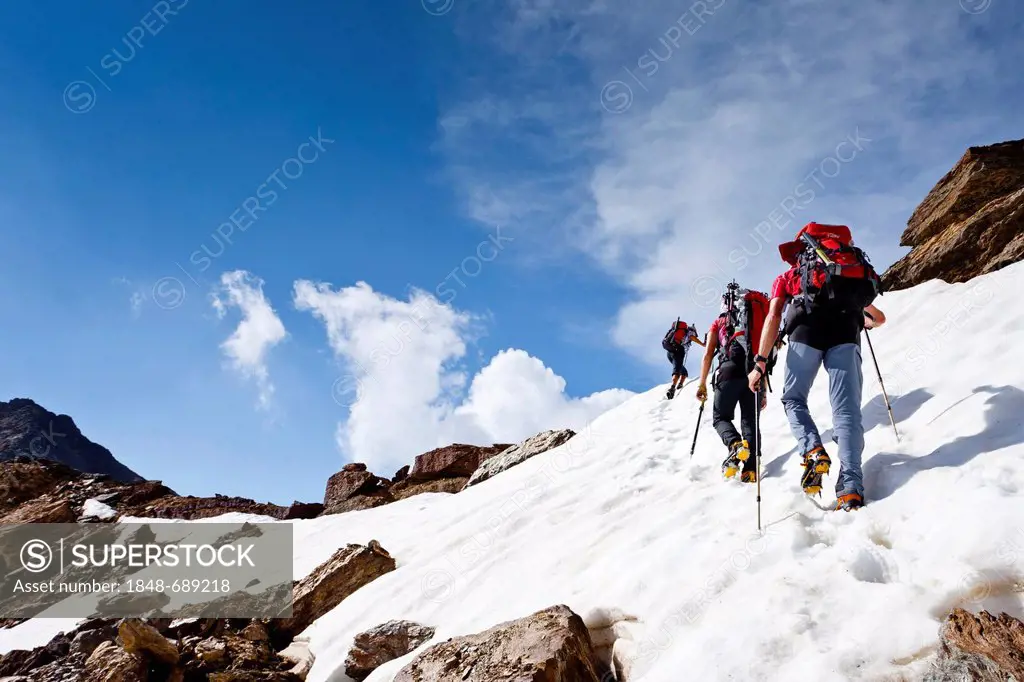Climbers ascending to Mt. Vertainspitze, Ortles area, South Tyrol, Italy, Europe