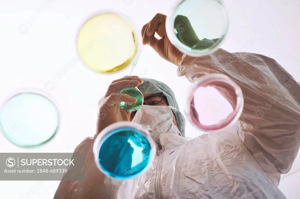Scientist performing a laboratory experiment with Petri dishes
