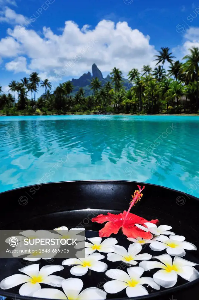 Floral decorations, St. Regis Bora Bora Resort, Bora Bora, Leeward Islands, Society Islands, French Polynesia, Pacific Ocean