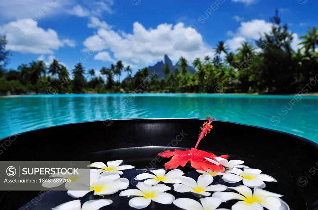 Floral decorations, St. Regis Bora Bora Resort, Bora Bora, Leeward Islands, Society Islands, French Polynesia, Pacific Ocean