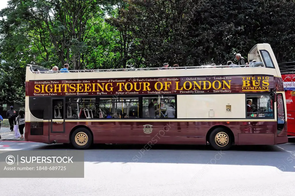 City tour bus, Sightseeing Tour of London, London, England, United Kingdom, Europe