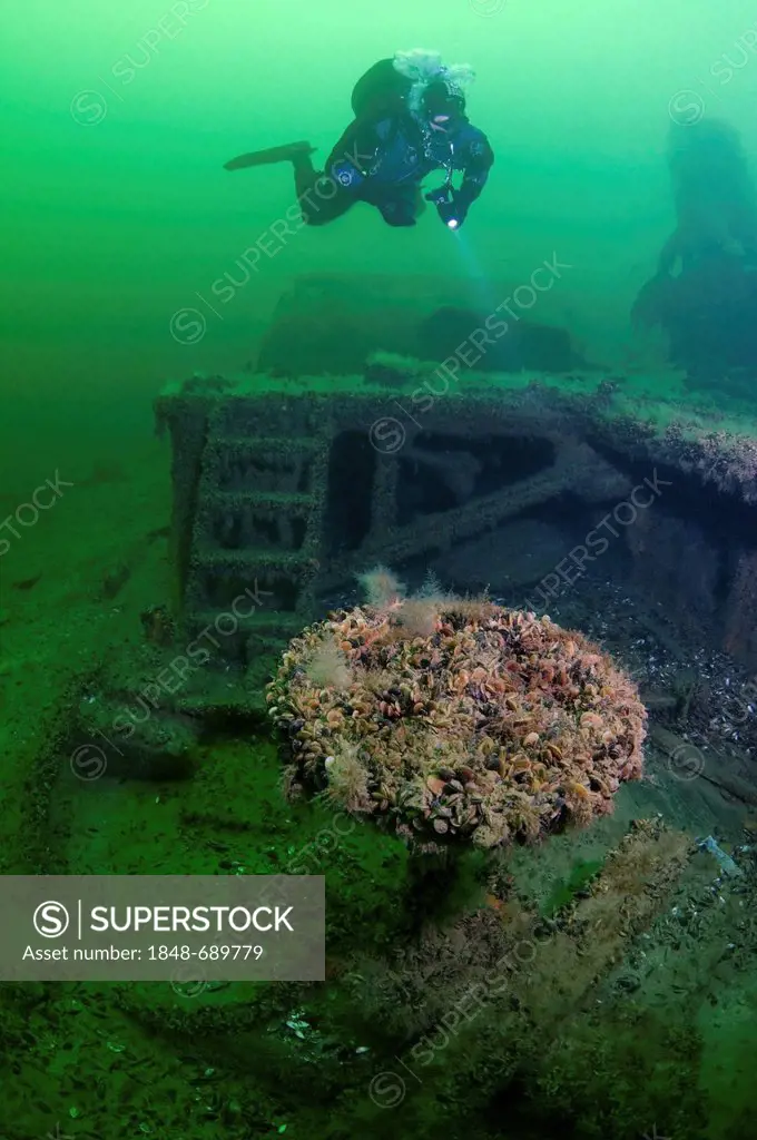 Diver at the shipwreck of the Austrian wheel steamship Durnstein, Odessa, Black Sea, Ukraine, Eastern Europe